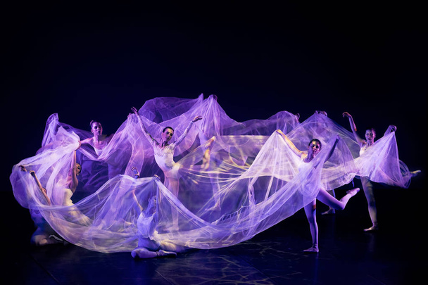 Monza, Itálie-červen 09 2018: tanec ballerinas zabalený do krásného Tyl - Fotografie, Obrázek