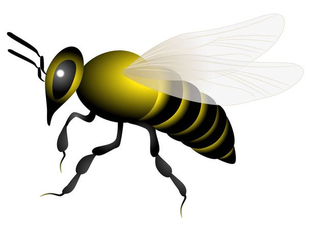 Une icône d'abeille isolée sur un fond blanc
. - Vecteur, image