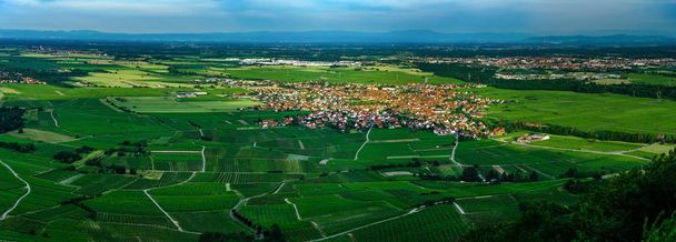 Wide aerial high resolution panoramic view of sunset over the green valley of vineyards, Alsace, France - Foto, Bild