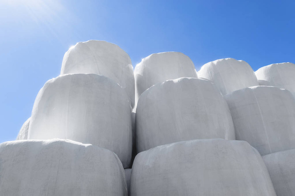 Grandes fardos de ensilado envueltos en plástico blanco y colocados uno sobre el otro en un fondo de cielo azul claro
 - Foto, imagen