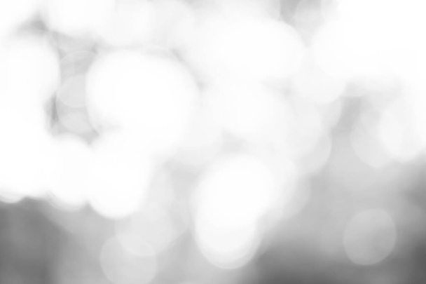 white gray blurred abstract backdrop. soft grey with light bokeh background. - Φωτογραφία, εικόνα