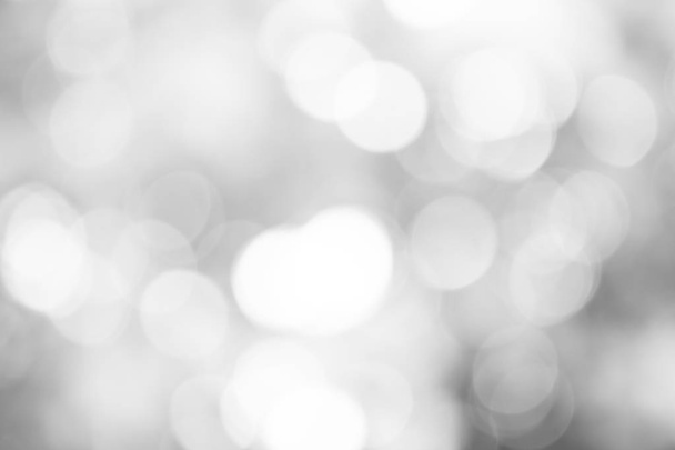white gray blurred abstract backdrop. soft grey with light bokeh background. - Φωτογραφία, εικόνα