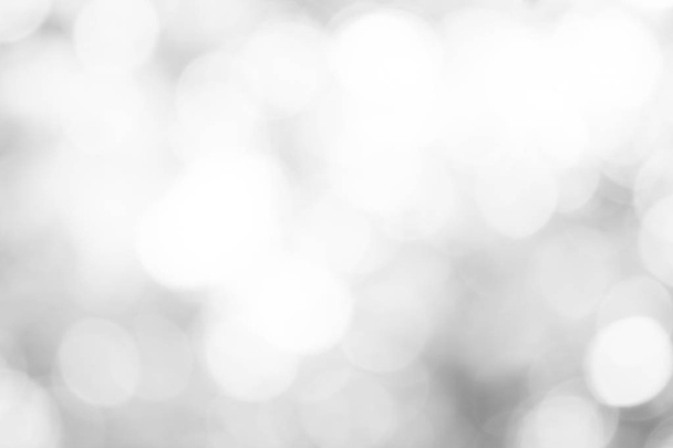 white gray blurred abstract backdrop. soft grey with light bokeh background. - Foto, Imagen