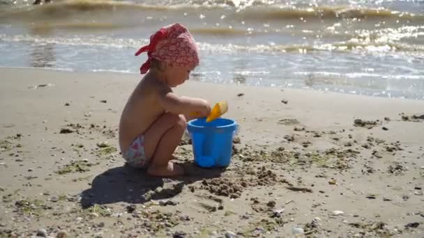 4k zobrazení dítě hrající v písku na pláži kavkazské malé radostné holčičky, chlapče, baví se Sandy hračky - Záběry, video