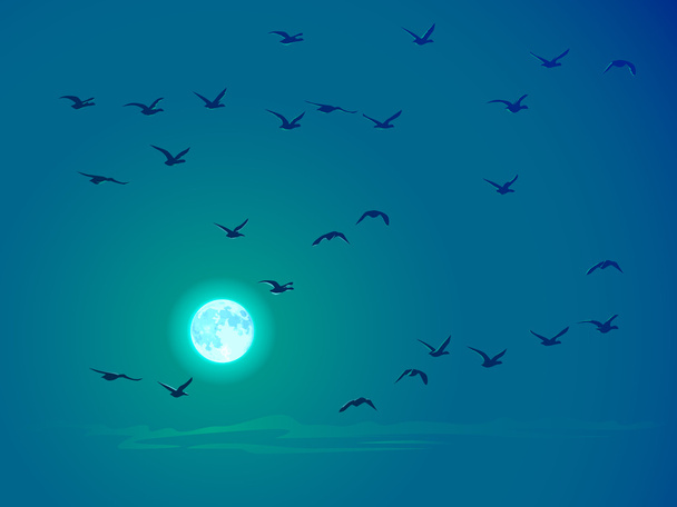 Vector flying birds against pale moon. - Vector, Image