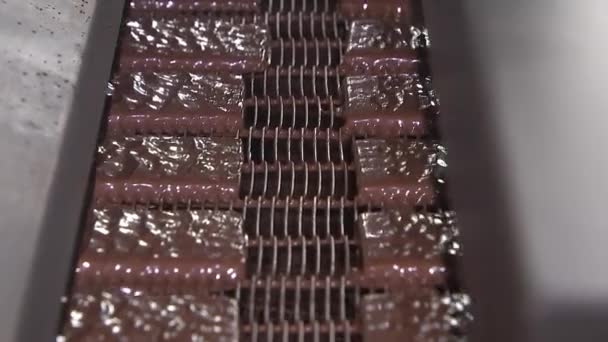 Fabbrica di cioccolato, i cioccolatini si muovono lungo il trasportatore 2
 - Filmati, video