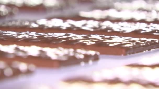 Fabbrica di cioccolato, i cioccolatini si muovono lungo il trasportatore
 - Filmati, video