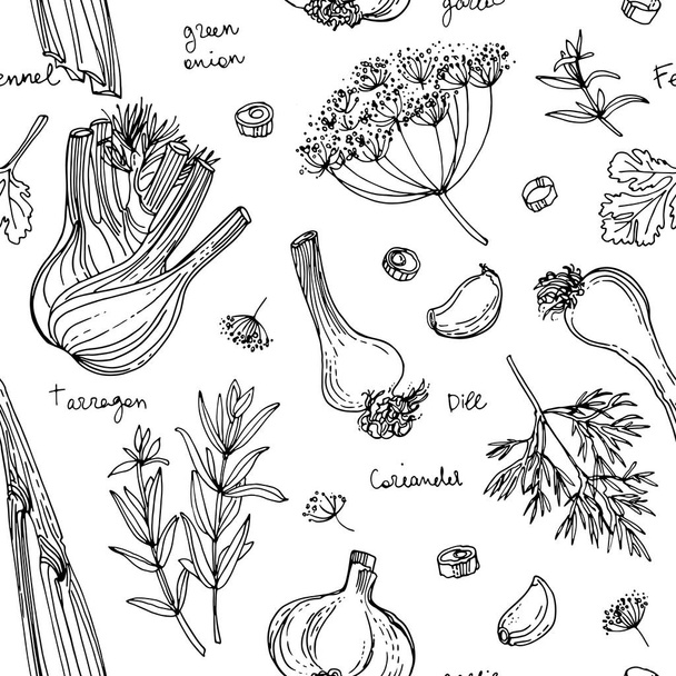 Pattern Herbs. Spices. Herb drawn black lines on a white background. Vector illustration. Fennel, dill, coriander, tarragon, green onion, garlic - Vettoriali, immagini