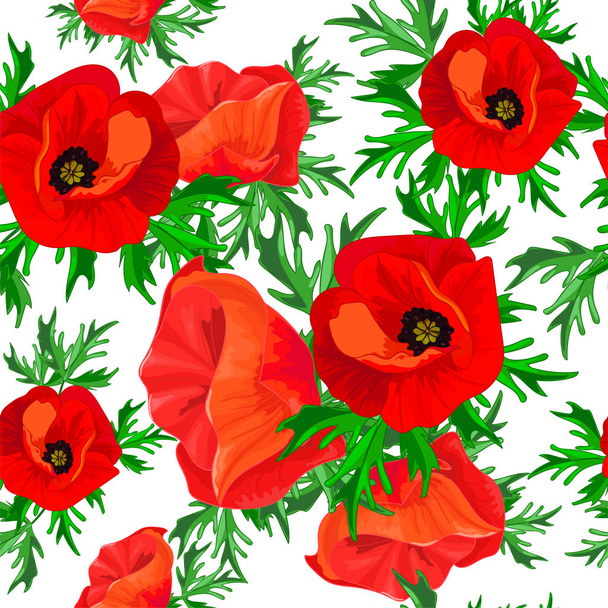 Red poppies and green leaves on a white background. Floral seamless pattern with big bright flowers.Summer vector illustration for print textile,fabric,wrapping paper. - Vecteur, image