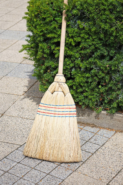 Broom next to a bush outdoor - Фото, зображення