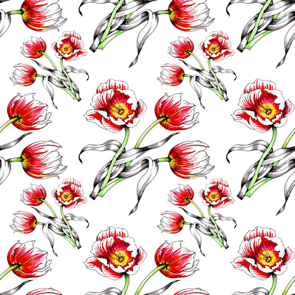  seamless pattern with beautiful colorful tulips - Фото, зображення