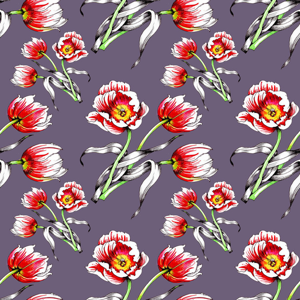  seamless pattern with beautiful colorful tulips - 写真・画像