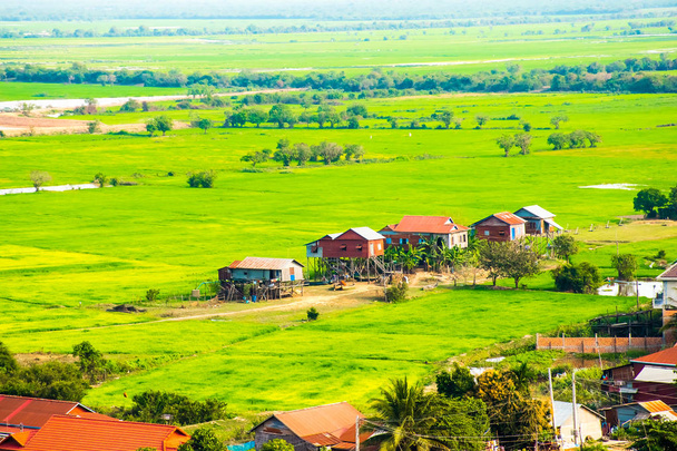 Pueblo flotante Phnom Krom, campos de arroz verde en Tonle Sap, Siem Reap, Camboya
 - Foto, Imagen