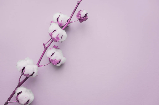 Overhead flor de algodão no fundo púrpura pastel pálido. Composição flatlay minimalismo para blogueiros, artistas, mídias sociais, revistas. Copyspace, vertical
 - Foto, Imagem