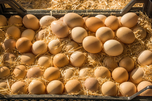 Świeże ekologiczne jaja hodowlane na rynku - Zdjęcie, obraz