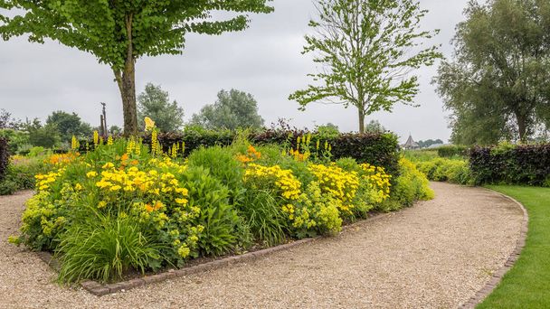 黄色い花を持つカラフルな庭 - 写真・画像
