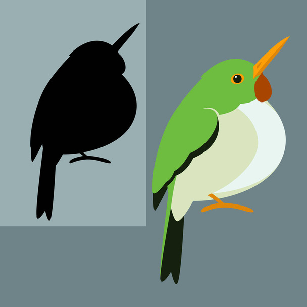 kubanisch tody vogel vektor illustration flachen stil schwarz silhouette set - Vektor, Bild