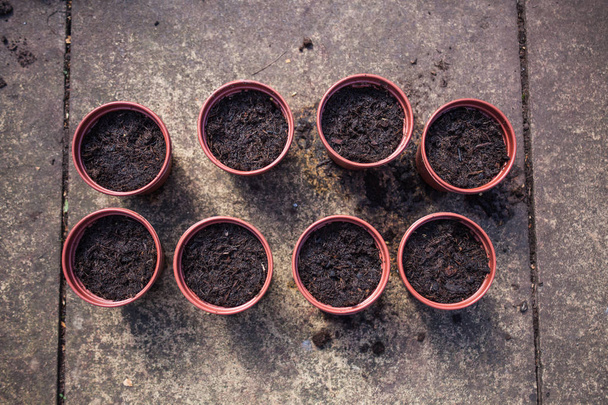 Vue de dessus des pots de fleurs remplis de terre. Préparation des pots en plastique pour le jardinage. Concept avec terre et pots de jardinage. Plantes de semis dans les pots de fleurs
 - Photo, image