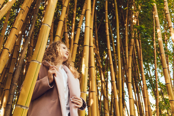 elegant stylish girl enjoying the spring and relaxing in the park next to the bamboo trees - Фото, зображення