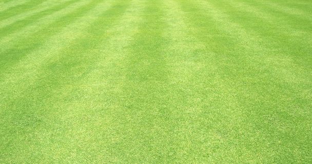 Prato sfondo Verde erba campo di calcio Sfondo modello
 - Foto, immagini