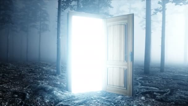 Izzó ajtó köd éjszakai erdő. Fény portál. Mistic és mágikus fogalom. Reális 4 k-animáció. - Felvétel, videó