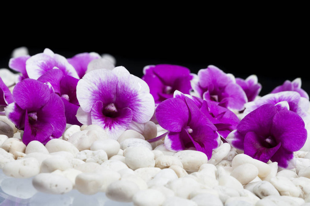 rosa Orchideen blühen auf einem steinernen Hintergrund. Platz für den steinernen Text. - Foto, Bild