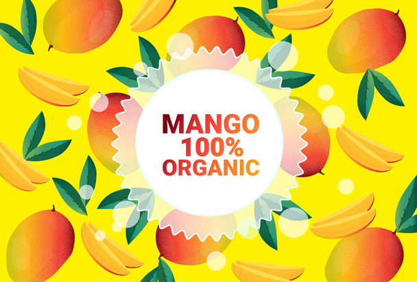 mango fruit colorful circle copy space organic over fresh fruits pattern background healthy lifestyle or diet concept - Vetor, Imagem