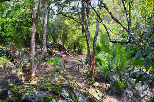 Річки у джунглях і водоспад переглядів з дороги сільських невелике село Ель Eden, Пуерто-Вальярта Мексики, де фільми був знятий  - Фото, зображення