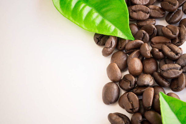 grãos de café e café
 - Foto, Imagem