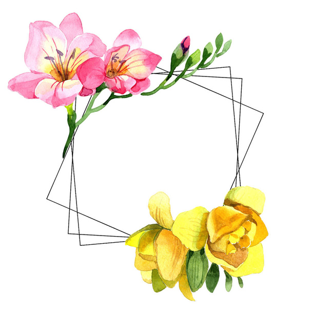 Colorful freesia. Floral botanical flower.Frame border ornament square. Aquarelle wildflower for background, texture, wrapper pattern, frame or border. - 写真・画像