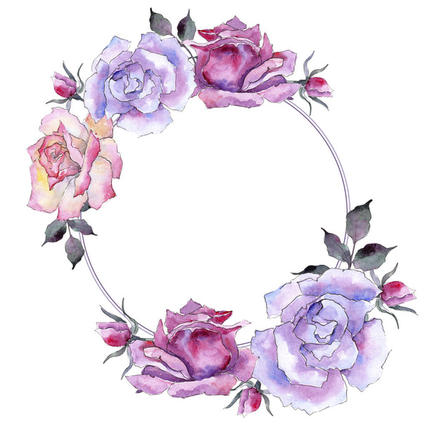 Pink rose. Floral botanical flower. Frame border ornament square. Aquarelle wildflower for background, texture, wrapper pattern, frame or border. - Fotografie, Obrázek