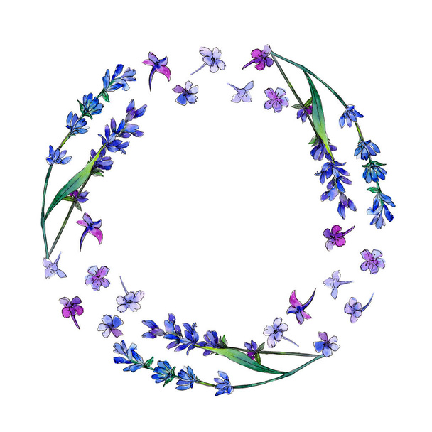 Violet lavender. Floral botanical flower. Frame border ornament square. Aquarelle wildflower for background, texture, wrapper pattern, frame or border. - Foto, Bild