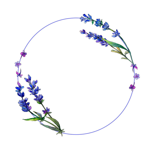 Violet lavender. Floral botanical flower. Frame border ornament square. Aquarelle wildflower for background, texture, wrapper pattern, frame or border. - Fotó, kép