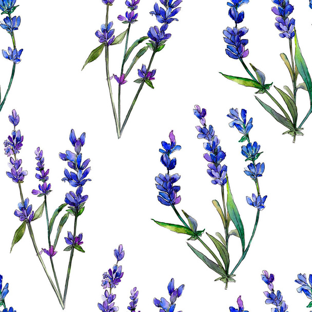 Violet lavender. Floral botanical flower.Seamless background pattern. Fabric wallpaper print texture. Aquarelle wildflower for background, texture, wrapper pattern, frame or border. - Photo, Image