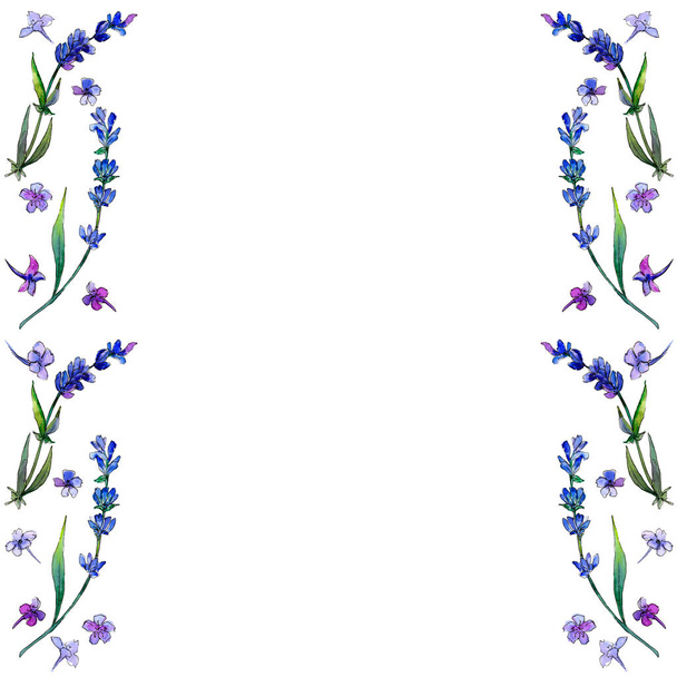 紫のラベンダー。花植物の花。フレーム枠飾りスクエア。背景、テクスチャ、ラッパー パターン、フレームや境界線の aquarelle ワイルドフラワー. - 写真・画像
