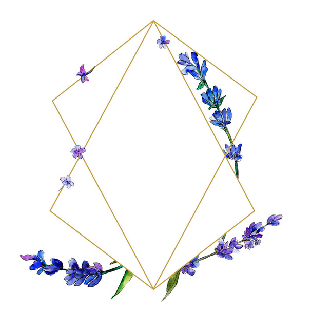 Violet lavender. Floral botanical flower. Frame border ornament square. Aquarelle wildflower for background, texture, wrapper pattern, frame or border. - Foto, Bild