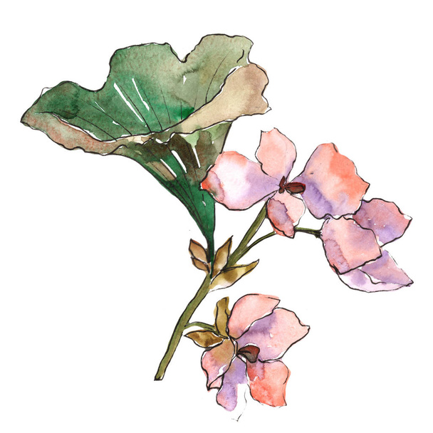 Rózsaszín gardenia. Virágos botanikai virág. Vad tavaszi levél vadvirág elszigetelt. A háttér textúra, burkoló minta, keret vagy határ Aquarelle vadvirág. - Fotó, kép