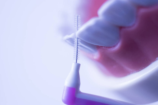 インター歯科歯のプラークを除去する歯間ブラシ健康フロス アクションをクリーニング. - 写真・画像