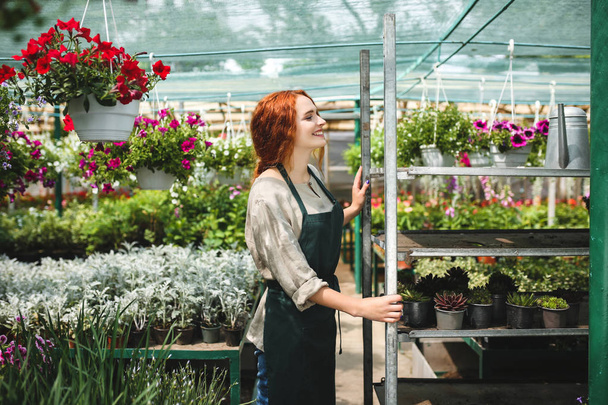 Cheerful florist in apron standing around beautiful flowers and happily working in big greenhouse - Photo, Image