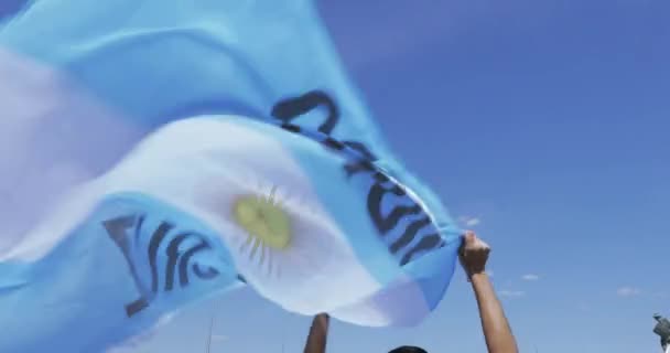 Flag of Argentina in the hands - 映像、動画