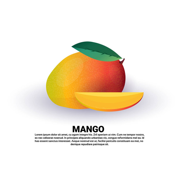 mango on white background, healthy lifestyle or diet concept, logo for fresh fruits - Вектор,изображение