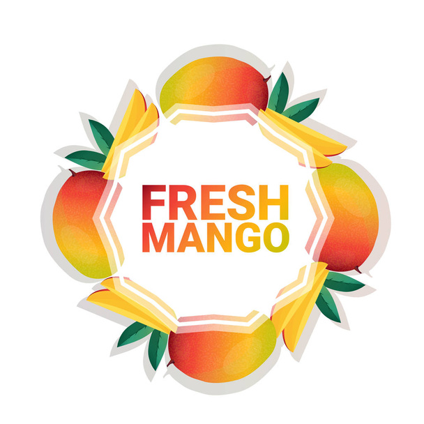 mango fruit colorful circle copy space organic over white pattern background, healthy lifestyle or diet concept - Vetor, Imagem