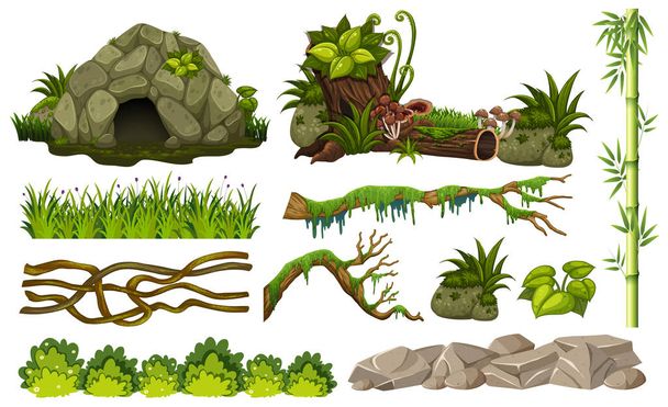 Készlet-ból dzsungel objektumok illusztráció - Vektor, kép