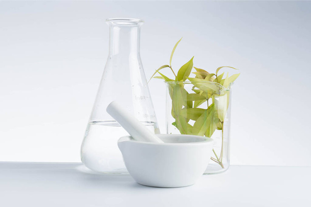 herbal medicine natural organic and scientific glassware research - Foto, Imagen