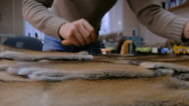Skinner pracujący ze skórą futra norek - Materiał filmowy, wideo