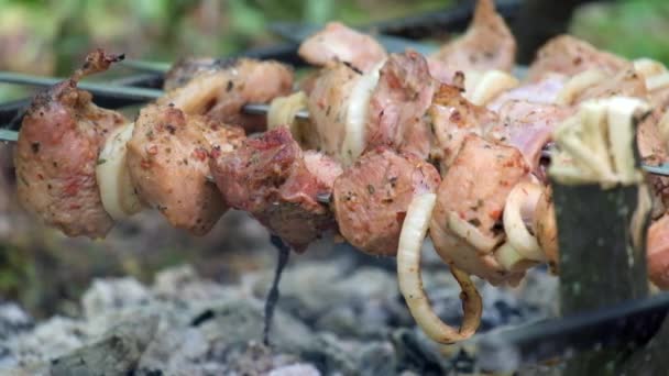 Dönerspieße im Wald. saftige Fleischstücke werden auf Kohlen gebraten - Filmmaterial, Video