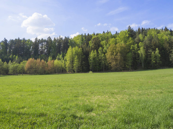 idyllische Frühlingslandschaft mit sattgrünem Gras, frischem Laub- und Fichtenwald, blauem Himmel weißer Wolkenhintergrund, Horozontal, Kopierraum - Foto, Bild