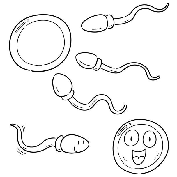 sperm ve yumurta vektör kümesi - Vektör, Görsel