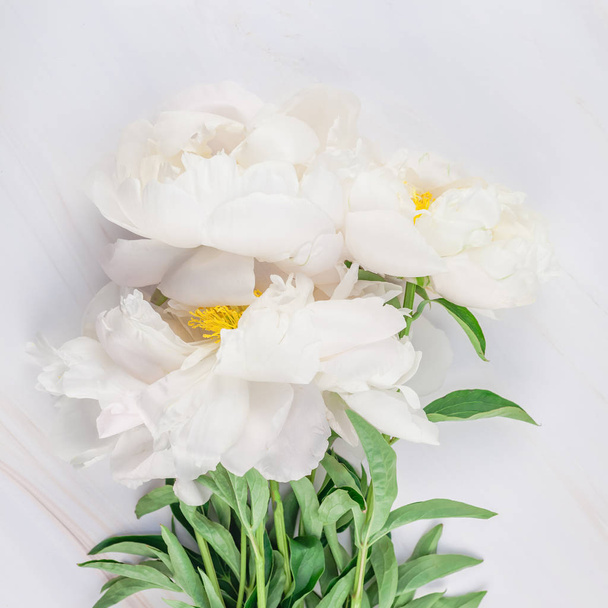 Beautiful blooming white peony flowers on marble background with copy space in minimal style, square template for postcard, text or your design. Wedding invitation and celebration greeting concept - Photo, Image