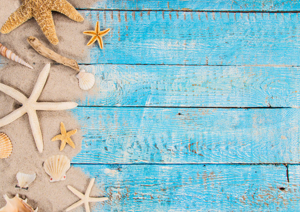 Summer traveling time. Sea holiday background with various shells. - Φωτογραφία, εικόνα